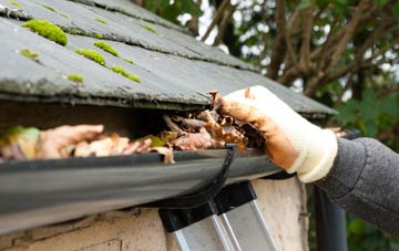 gutter cleaning Coed Y Go, Shropshire
