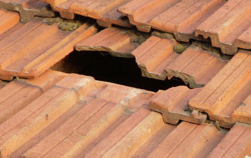 roof repair Coed Y Go, Shropshire